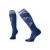 Шкарпетки жіночі Smartwool Wm's PhD Ski Light Elite Pattern (Dark Blue, S)